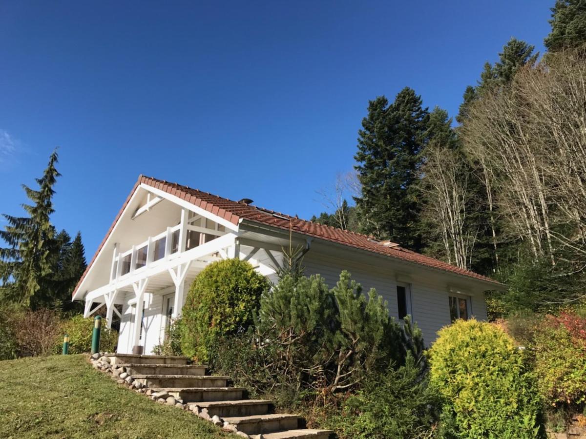 Le Chalet Blanc - Jacuzzi / Piscine / Sauna Gérardmer Exterior foto